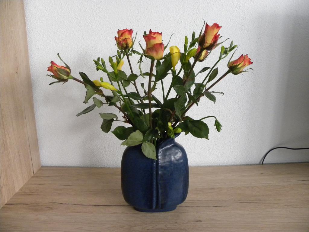 Ferienwohnung Alte B3 Ringsheim Esterno foto